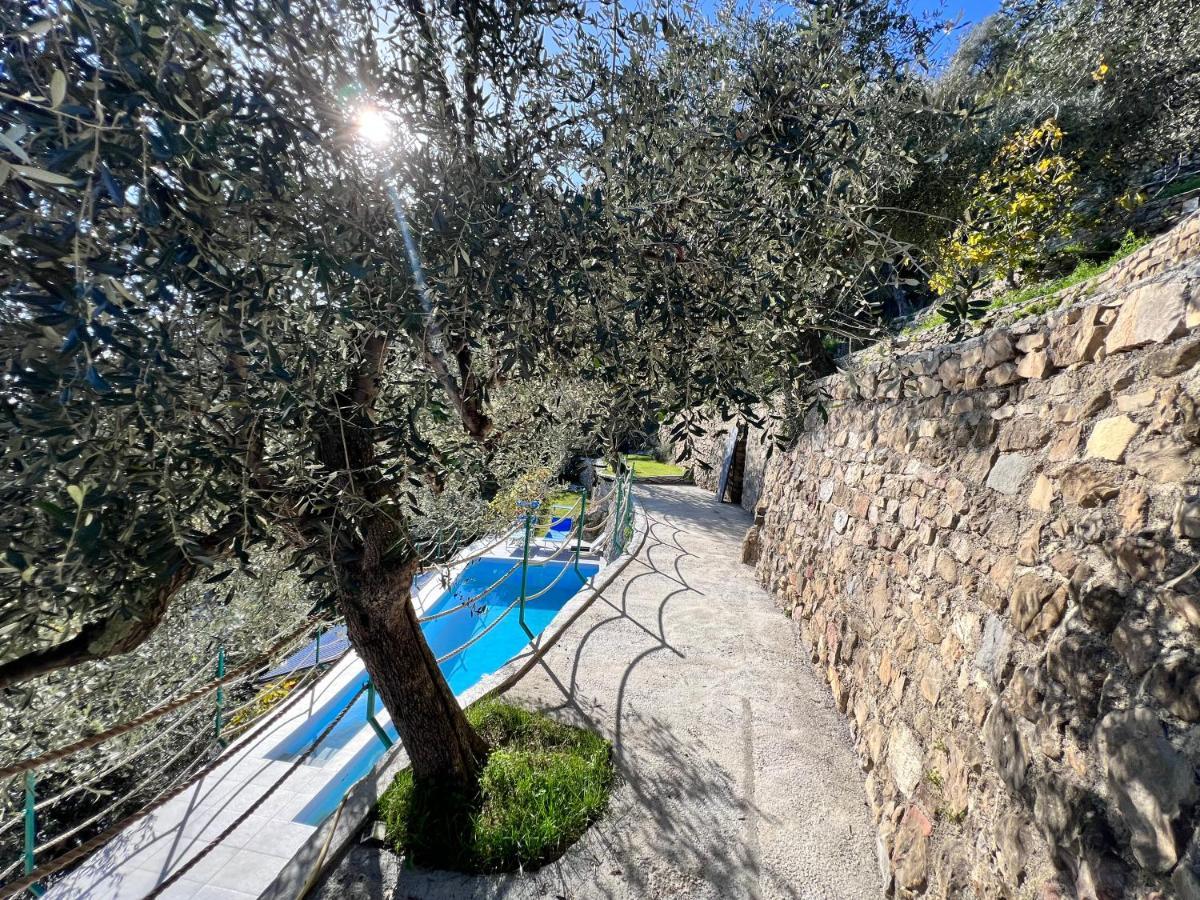 Villa Di Campagna Con Vista Mare 5 Camere Da Letto Pampara ภายนอก รูปภาพ